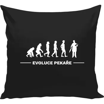 Polštář Polštář černý 40x40 cm Evoluce - pekař