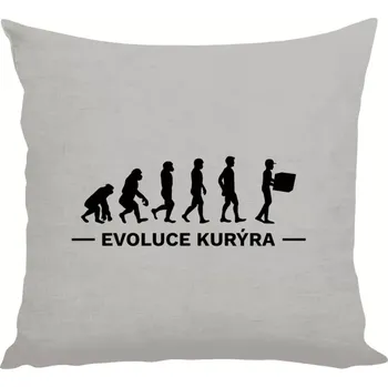 Polštář Polštář lněný 40x40 cm Evoluce - kurýr