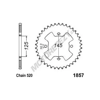 Řetězová sada pro motocykl Rozeta YAMAHA YFM 350 Raptor rok 04-15