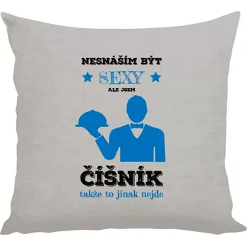 Polštář Polštář lněný 40x40 cm Nesnáším být sexy, ale jsem číšník