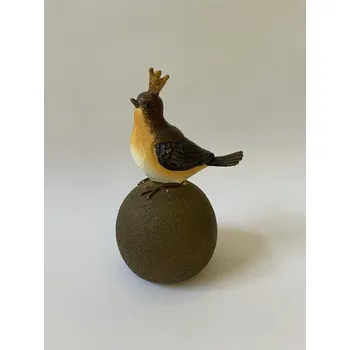 SOŠKA - PTÁČEK SE ZLATOU KORUNKOU