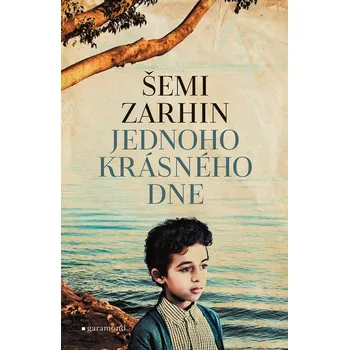 Jednoho krásného dne - Šemi Zarhin…