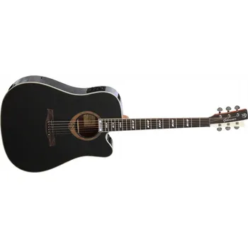 Strunný nástroj Gilmour Vintage BK EQ