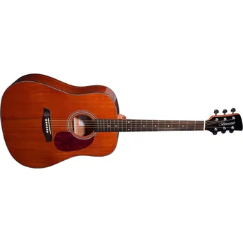 Strunný nástroj Brunswick BD200 Mahogany Gloss