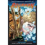 Znovuzrození hrdinů DC - Aquaman 1: Pád do hlubin (Black edice)