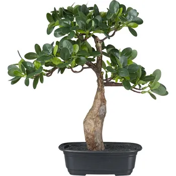 umělá květina Umělý Bonsai ficus, 35cm