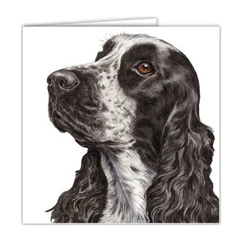 WaggyDogz Přání AC-49 Waggy Dogz