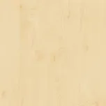 Samolepící fólie bříza d-c-fix 200-2875