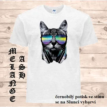 Pánské tričko panske-bavlnene_tricko_uv_potisk_DJ_kocka Barva: Ash melange - popelová směs, velikost: 5XL