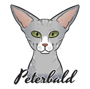 Samolepicí dekorace na vozidlo Samolepka na auto PETERBALD