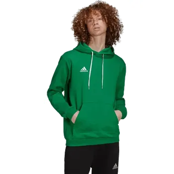 Pánská mikina Pánská mikina s kapucí Adidas Entrada 22 Sweat zelená
