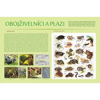 Naučná tabule obojživelníci a plazi