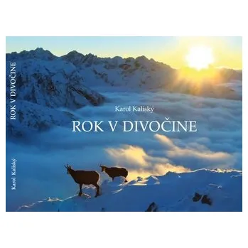 Umění Rok v divočine - Karol Kaliský
