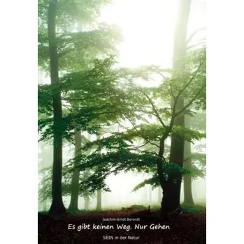Es gibt keinen Weg. Nur Gehen - Berendt, Joachim-Ernst
