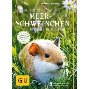 Neugierige Meerschweinchen - Immanuel Birmelin