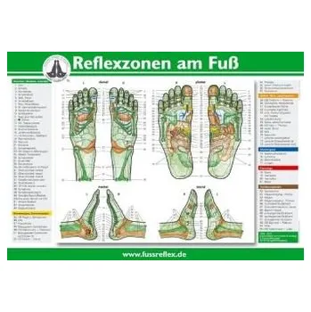 Diář Reflexzonen am Fuß, Poster - Hanne Marquardt