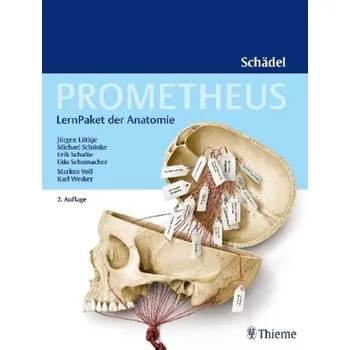 Prometheus Schädel, LernPaket der Anatomie - Lüthje, Jürgen