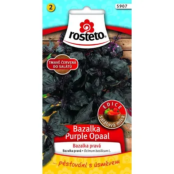 Semeno Rosteto Bazalka pravá - Purple Opaal 1g