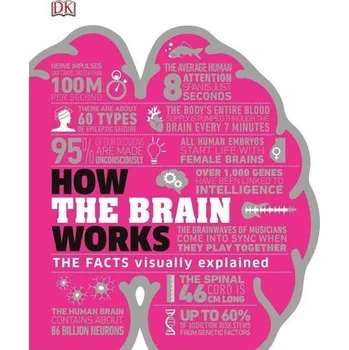 How the Brain Works
