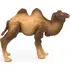 Figurka PAPO 50129 Velbloud 9,75 cm