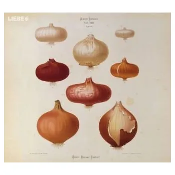 Liebe 6, 1 Audio-CD - Rether, Hagen