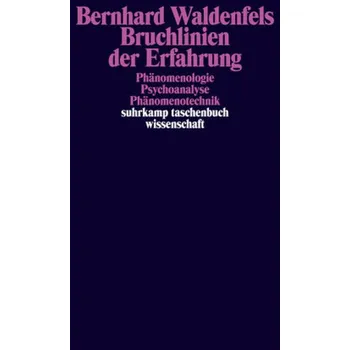 Bruchlinien der Erfahrung - Bernhard Waldenfels