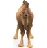 Figurka PAPO 50129 Velbloud 9,75 cm