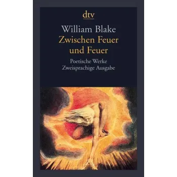 Cizojazyčná kniha Zwischen Feuer und Feuer - William Blake