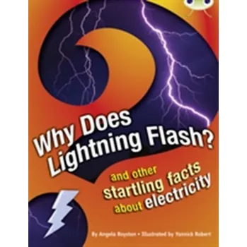 Cizí jazyk Bug Club Independent Non Fiction Year 4 Grey A Why Does Lightning Flash - Angela Royston