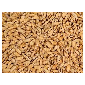 Rýže Paddy rýže Balení: 1kg