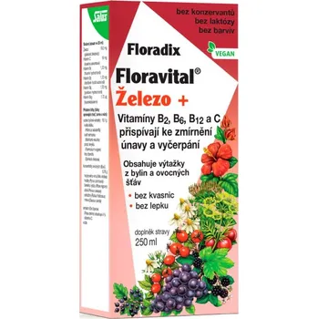 SALUS Haus Floradix Floravital Železo+ 250 ml