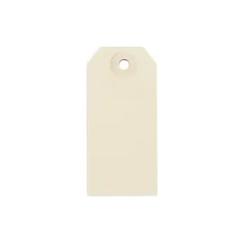 Speciální papír Papírové visačky 80 x 38 mm, béžové, Ø očka 5 mm, bez drátku - Balení po 1 ks