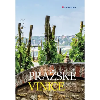 Umění Pražské vinice