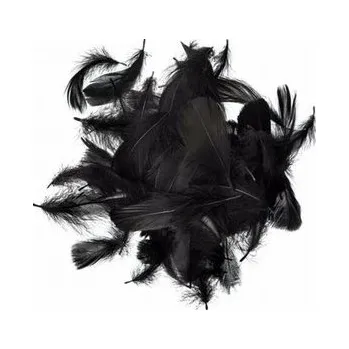 Set školních potřeb Piórka czarne 5-12cm 10g