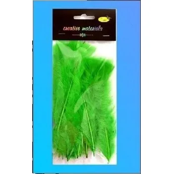 Set školních potřeb Piórka miękkie jasnozielone 15szt