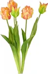 Harasim Kytice tulipánů 5 ks 46 cm…