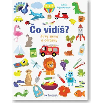 Bystrá hlava Čo vidíš? Prvé slová a obrázky - Anita Bijsterboschová
