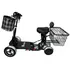 Elektrický skútr Eroute Fold 1 Li-ion