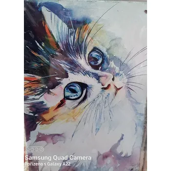 Plechová cedule Plechová cedule- kotě.malba