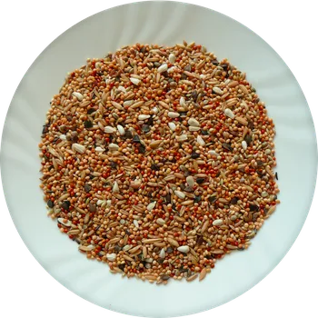 Krmivo pro ptáka Avicentra Professional Agapornis 5kg