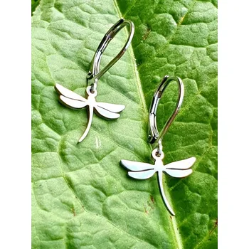 Náušnice Ocelové náušnice - Vážka