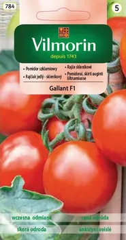 Semeno Vilmorin Rajče skleníkové Gallant F1 0,2 g