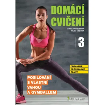 Domácí cvičení 3 - Stanislava Holomková, Kamila Štreitová