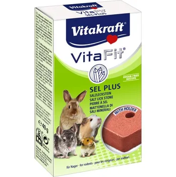 Krmivo pro hlodavce Vitakraft VITAFIT Solný kámen pro hlodavce 40g