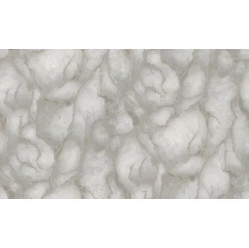 Tapeta Emiliana Parati Luxusní šedo-zlatá vliesová tapeta, imitace kamene, 86025, Valentin Yudashkin 5, Emiliana Parati, velikost 10,05 x 1,06 m