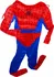 Karnevalový kostým Dětský kostým Svalnatý Spiderman s pavoukem na hrudi