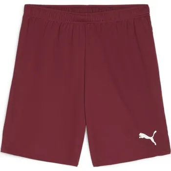 Pánské kraťasy Šortky Puma teamGOAL Shorts 705752-09 Velikost L