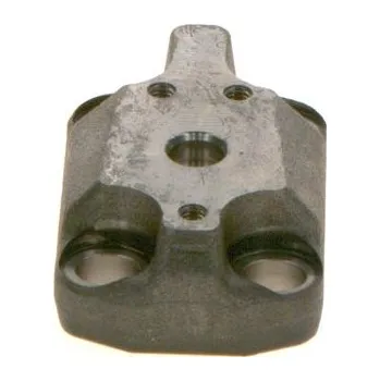 Motor automobilu Hlava válce BOSCH F 00R 0P1 739