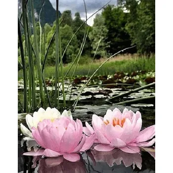 Mozaiková sada DIAMANTOVÁ MOZAIKA KVĚTINA 22 - SLEVA -50%