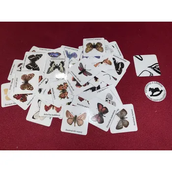 Pexeso HandMade by VeJa Pexeso vel.L č.96 - druhy motýlů (64kousků)